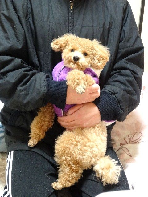 イメージ 9