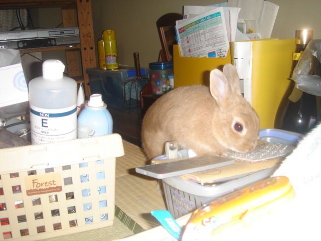 イメージ 3