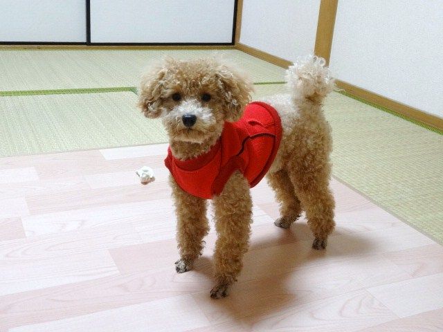 イメージ 3