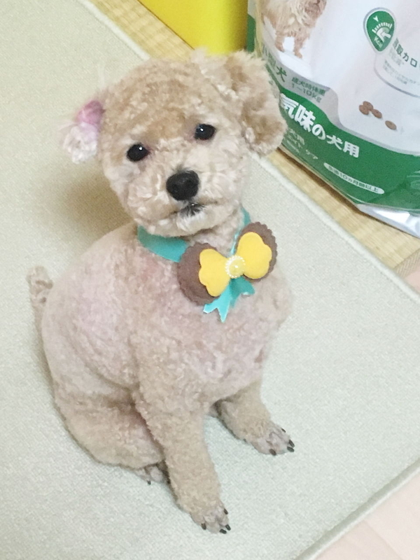 イメージ 8