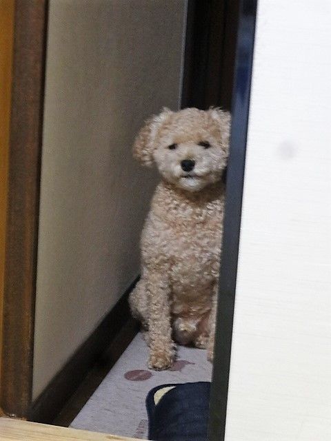 DSC04805