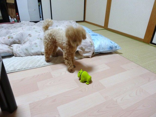 イメージ 1