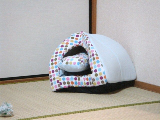 イメージ 4