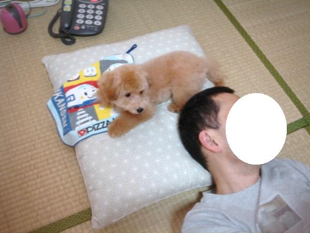 イメージ 4