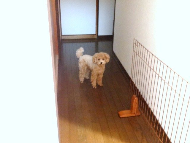 イメージ 3