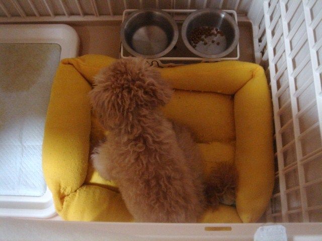 イメージ 8