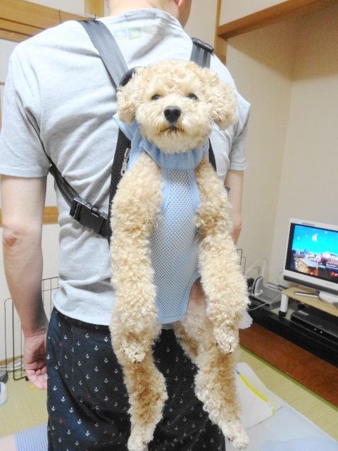 イメージ 6