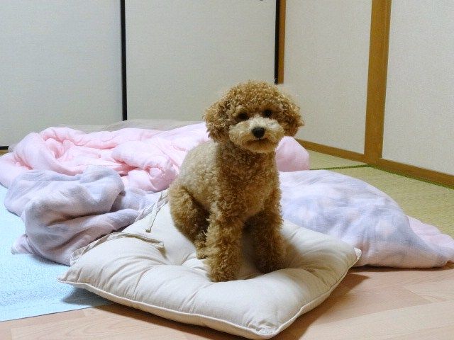 イメージ 4