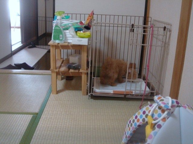 イメージ 9
