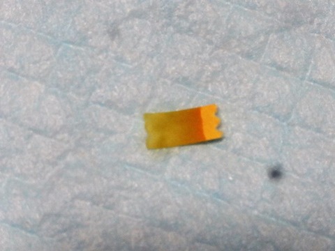 DSC04737