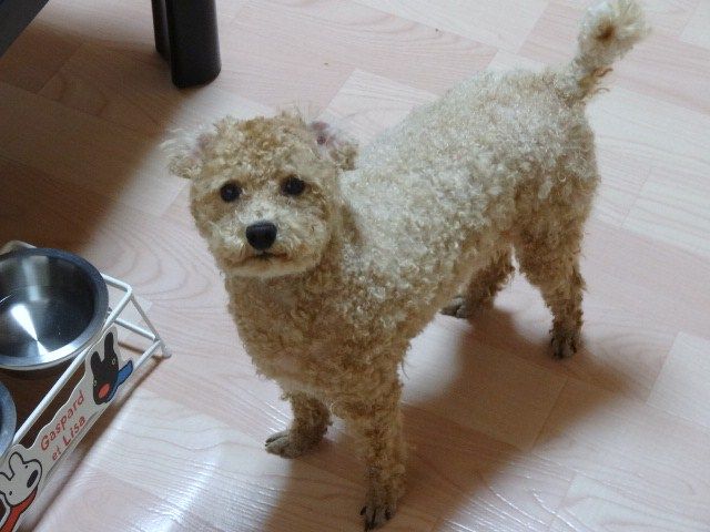 イメージ 3