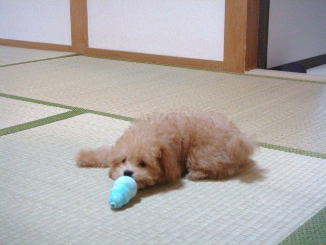 イメージ 2