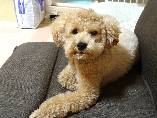 イメージ 2