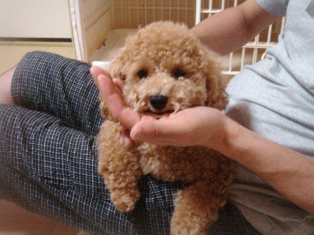 イメージ 5