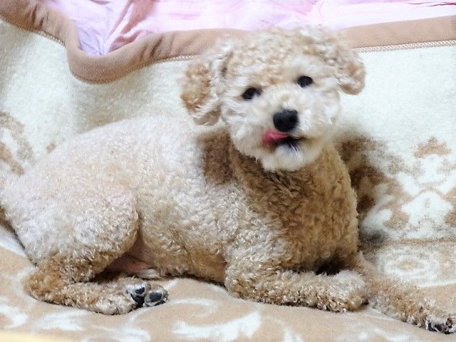 イメージ 4