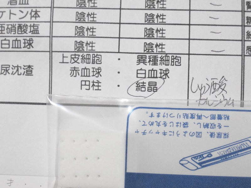 イメージ 10
