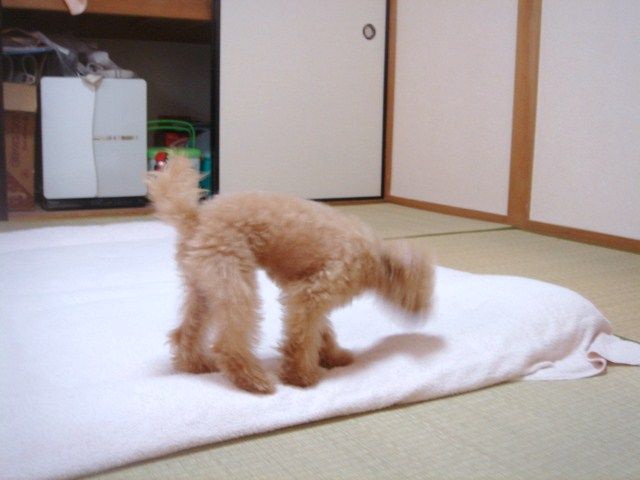 イメージ 2