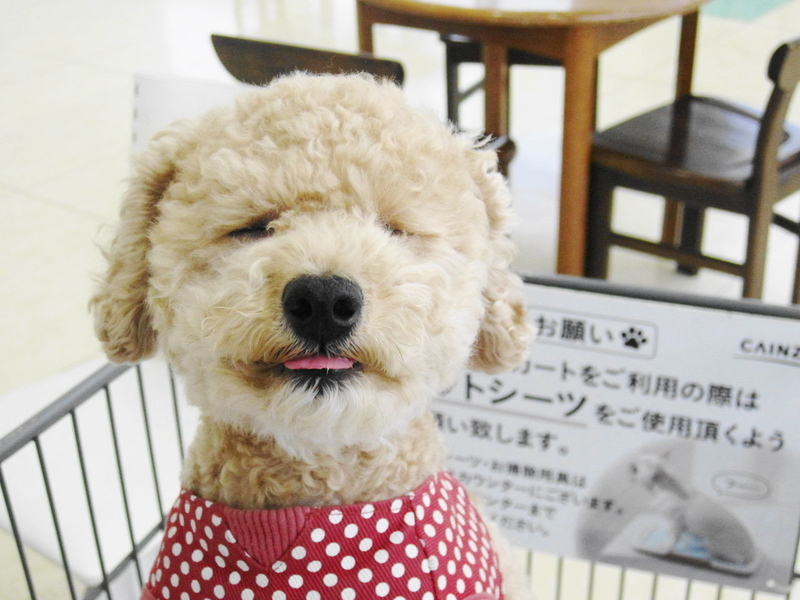 イメージ 3