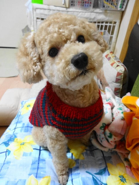 イメージ 6
