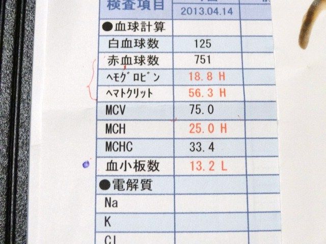 イメージ 3