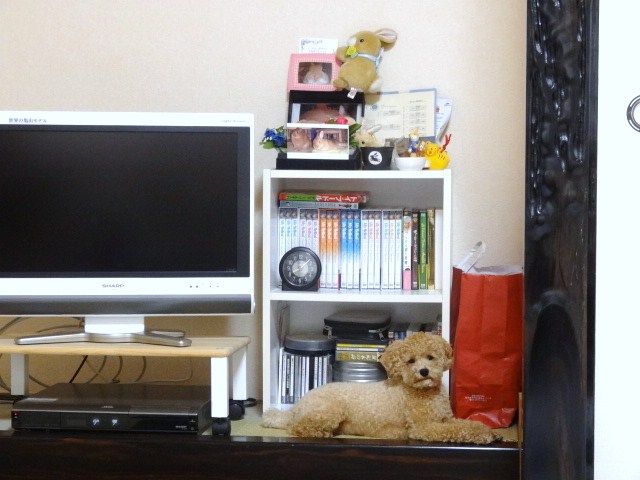 イメージ 3