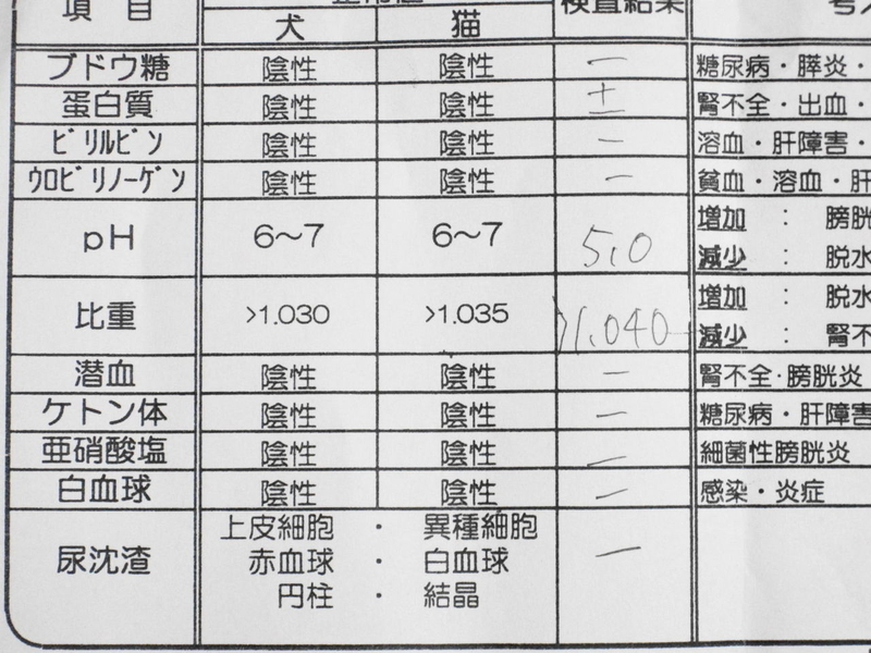 イメージ 4