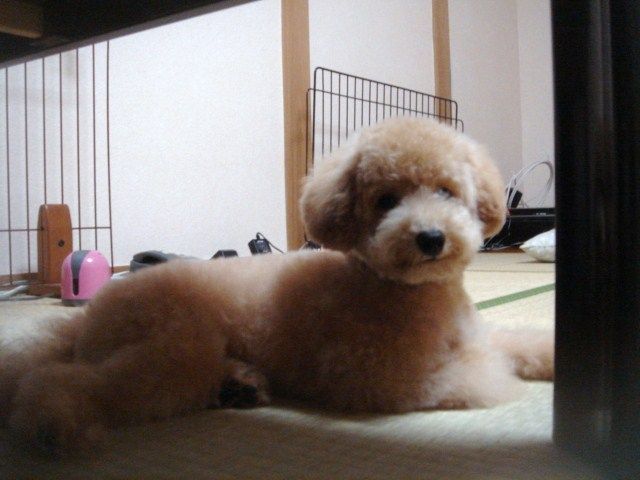 イメージ 3