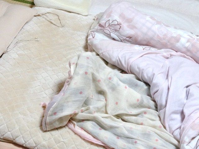 イメージ 11