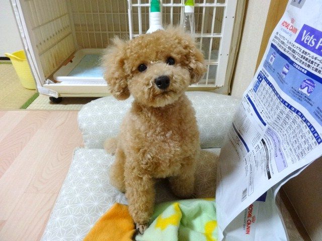 イメージ 4