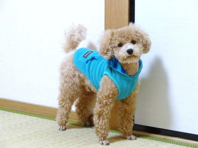 イメージ 2