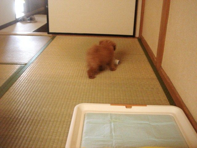 イメージ 2