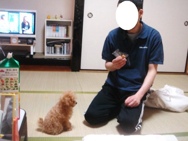 イメージ 9