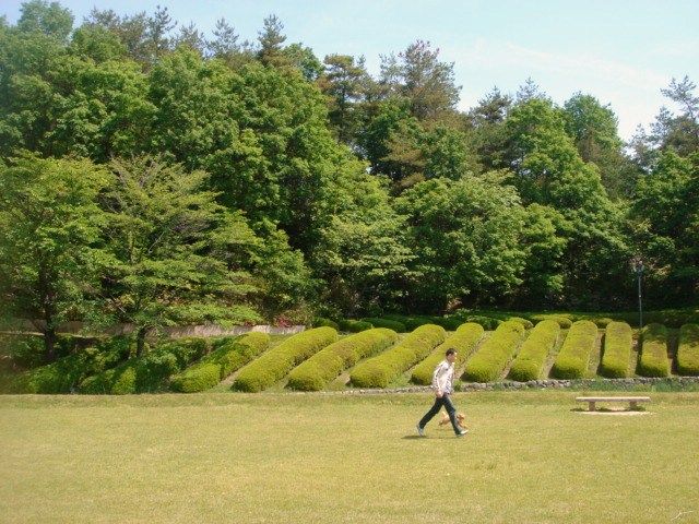 イメージ 9