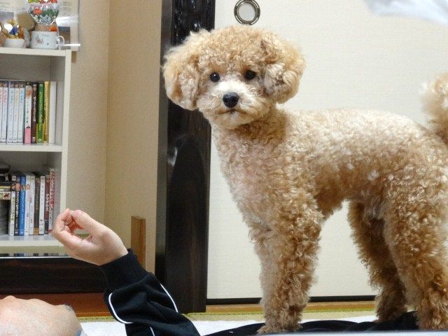 イメージ 5