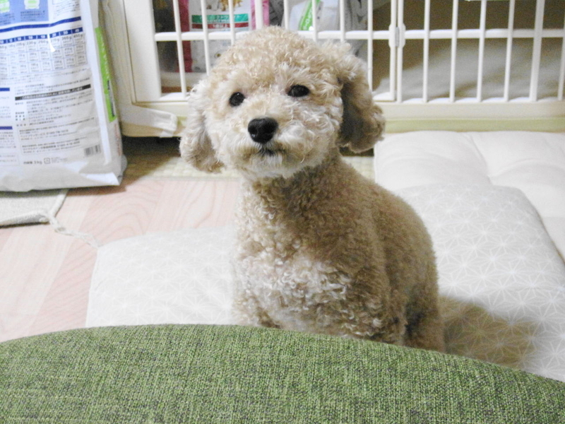 イメージ 6