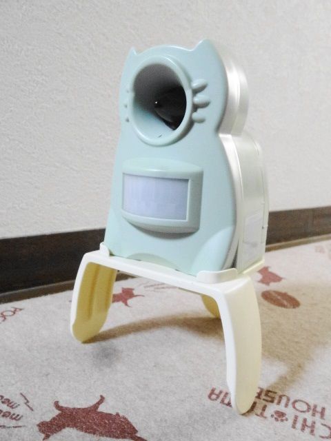 イメージ 3