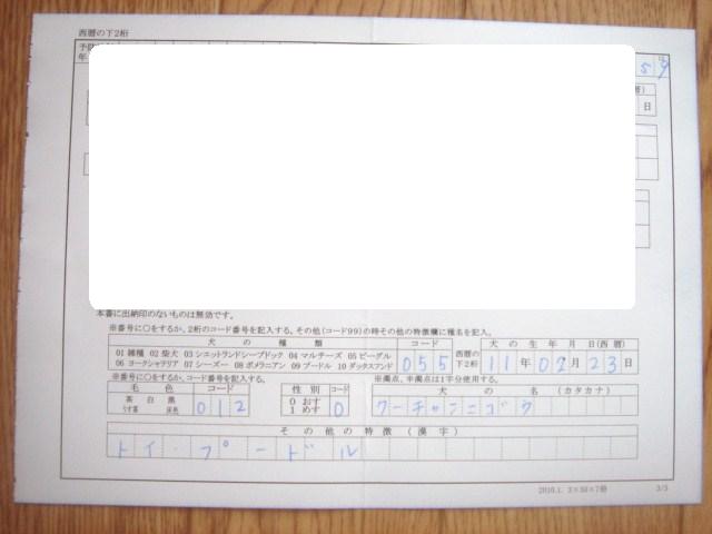 イメージ 9