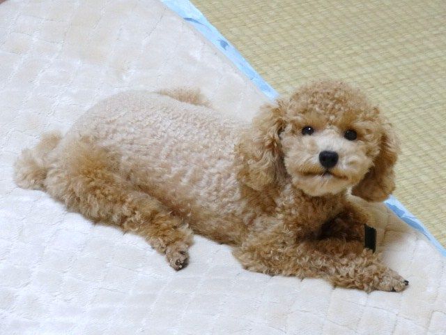 イメージ 2