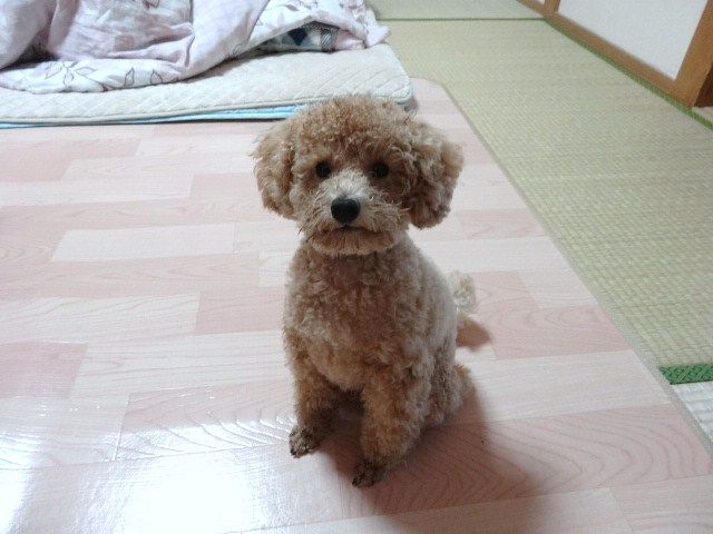 イメージ 1