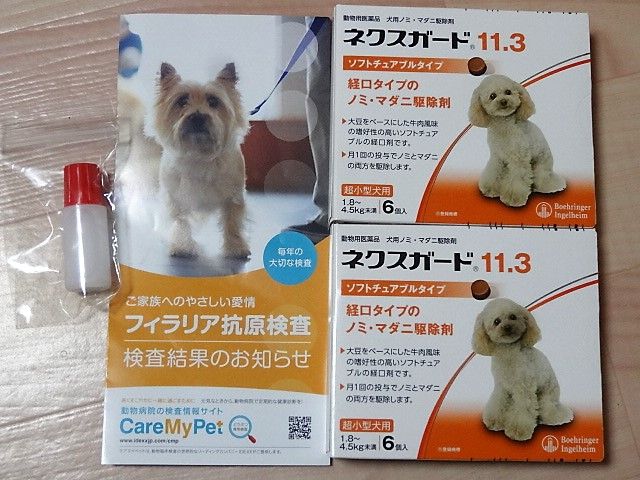 イメージ 4