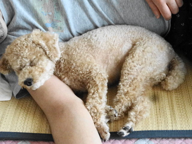 イメージ 6