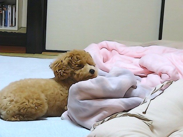 イメージ 2
