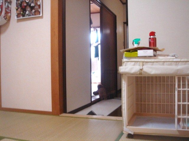 イメージ 7