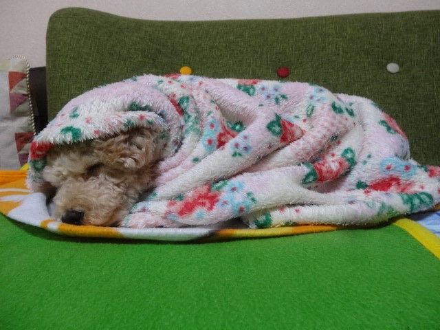イメージ 1