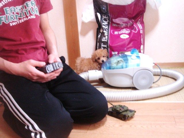 イメージ 8