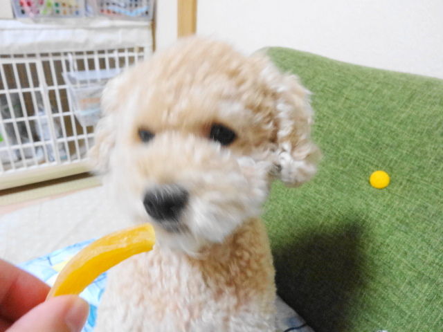 イメージ 10