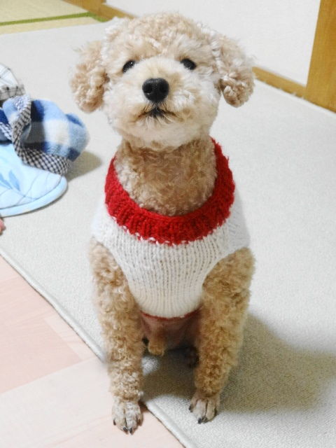 イメージ 6
