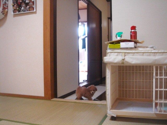 イメージ 3