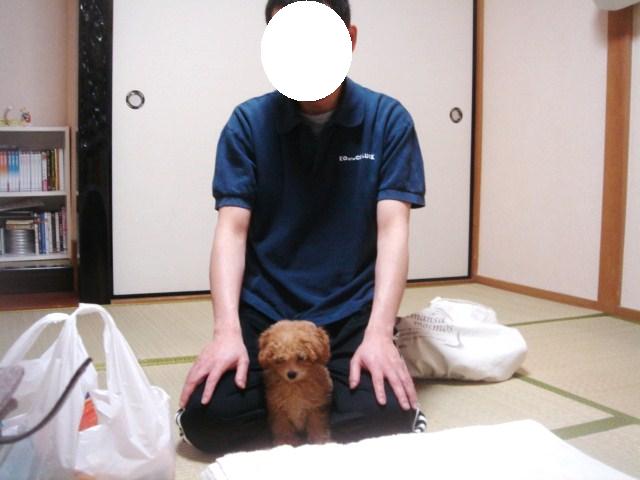 イメージ 6