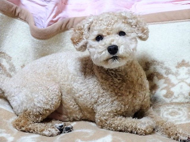 イメージ 6